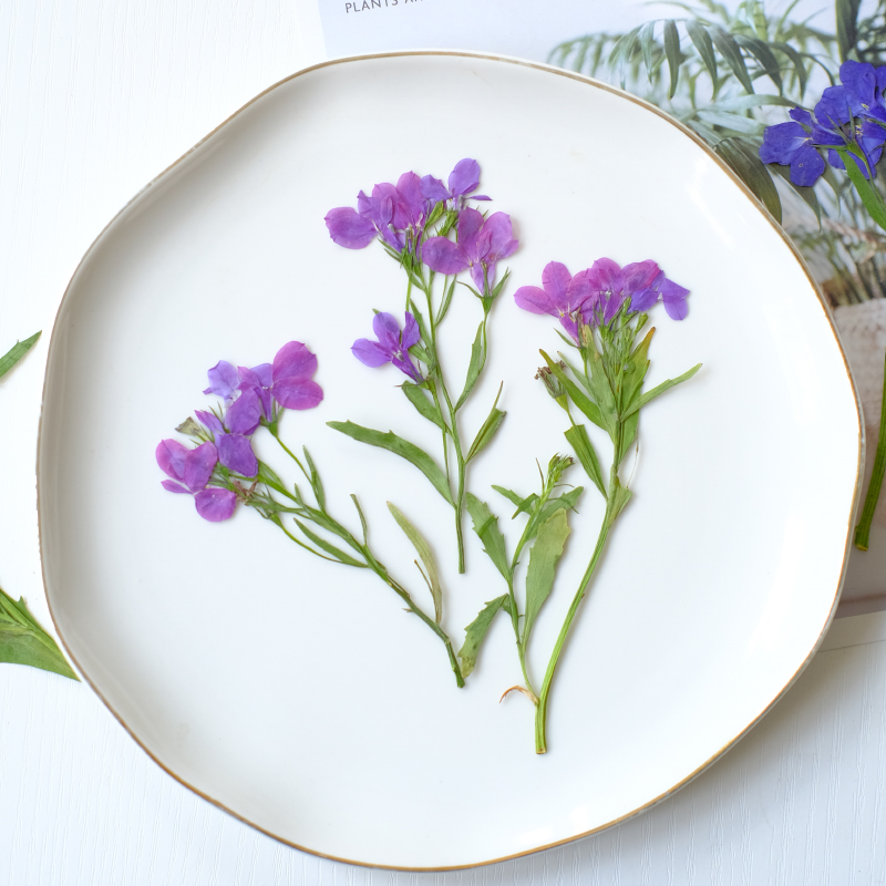 6pcs/8-13cm,nature Lobelia Eri - Dried Flower Bookmark avaliação e preço