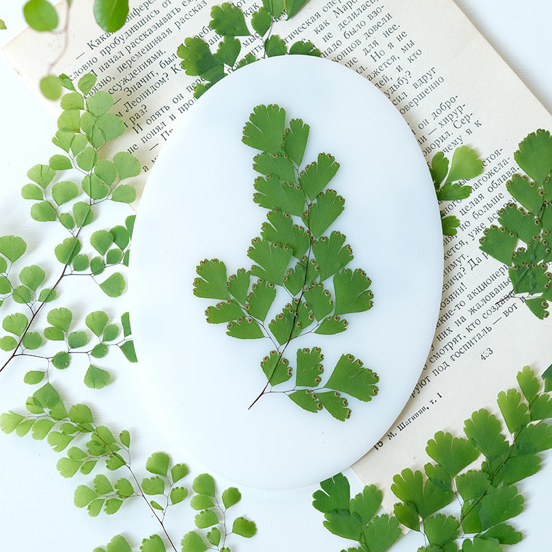 60Pcs Natural Plant Real Flowe - Dried Flower Bookmark avaliação e preço