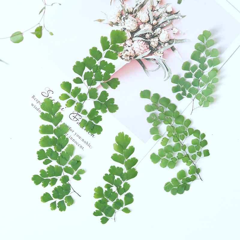 60Pcs Natural Plant Real Flowe - Dried Flower Bookmark avaliação e preço