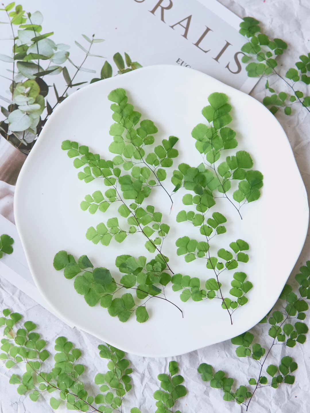60Pcs Natural Plant Real Flowe - Dried Flower Bookmark avaliação e preço