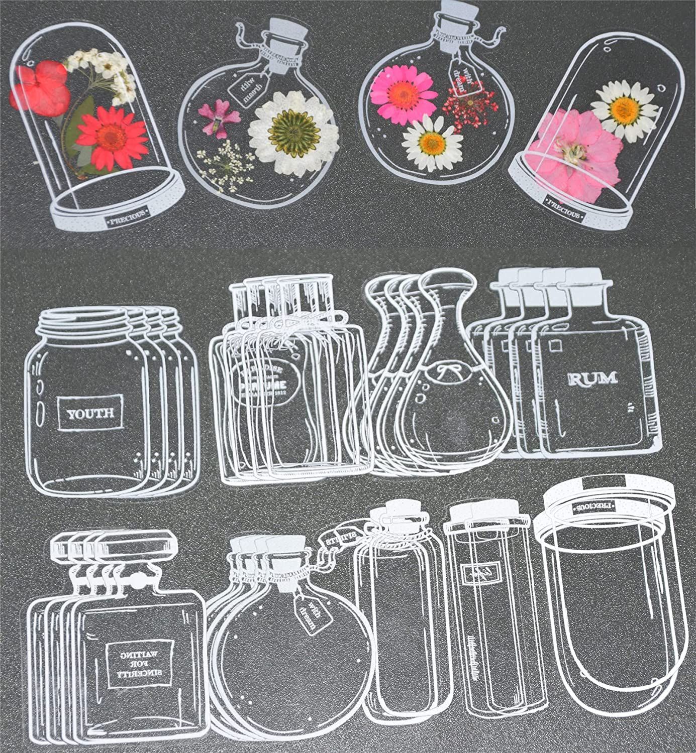 30Pcs Transparent Dried Flower - Dried Flower Bookmark avaliação e preço