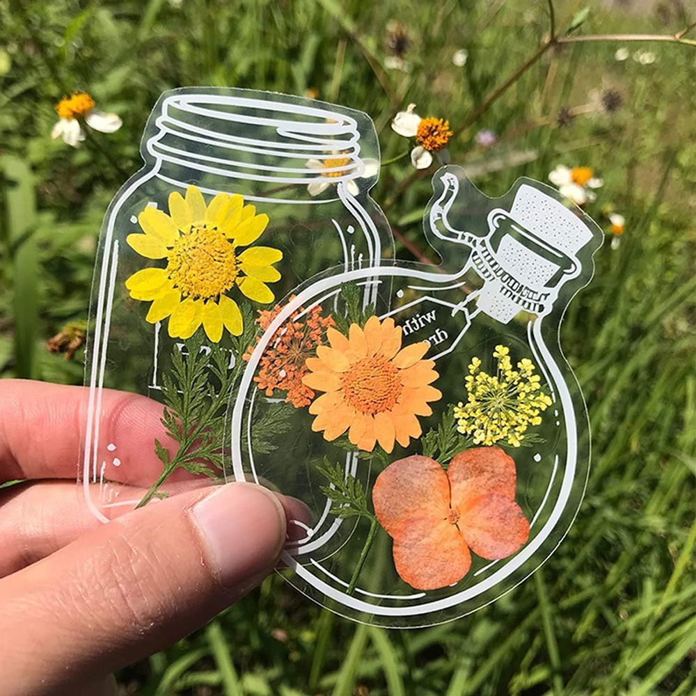30Pcs Transparent Dried Flower - Dried Flower Bookmark avaliação e preço