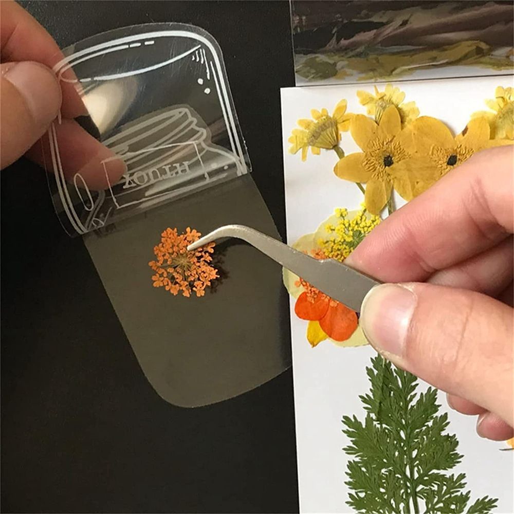 30Pcs Transparent Dried Flower - Dried Flower Bookmark avaliação e preço